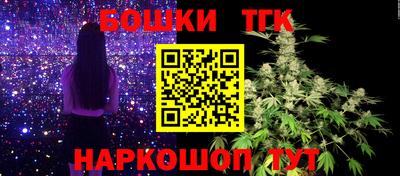 дмт Новокубанск