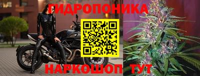 mix Новозыбков