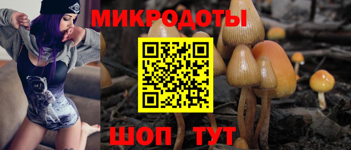 Сегежа  Псилоцибиновые грибы мицелий  Вход с VPN 